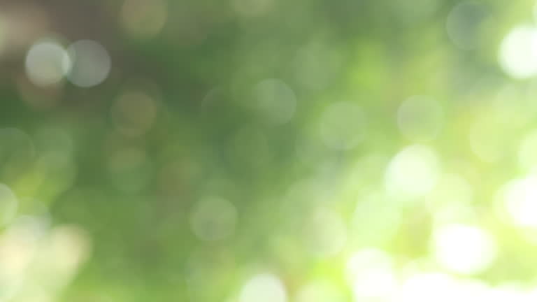 slow motion blurred green color nature public park outdoor background at spring and summer season with sunlight for template and presentation design concept