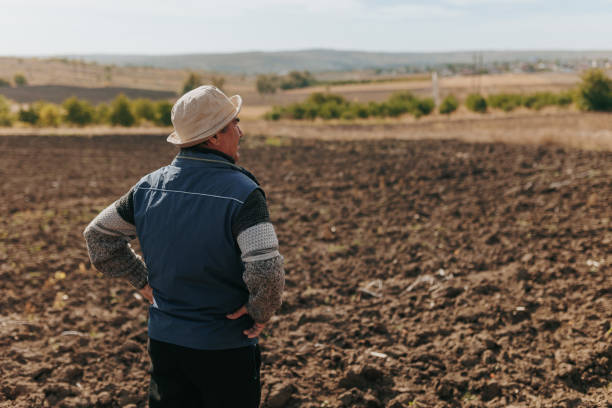 istock Fields of Experience Active Senior Engaged in Agricultural Activity, back view 2150537024