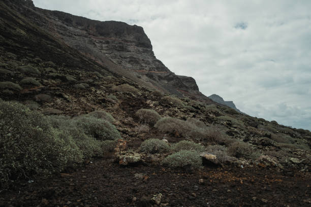Beach in Lanzarote, Canary Islands