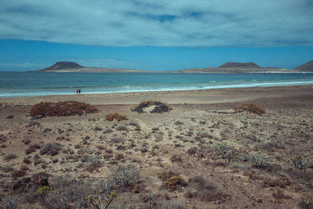 Beach in Lanzarote, Canary Islands