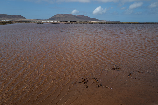 Coastal landscape in Lanzarote, Canary Islands