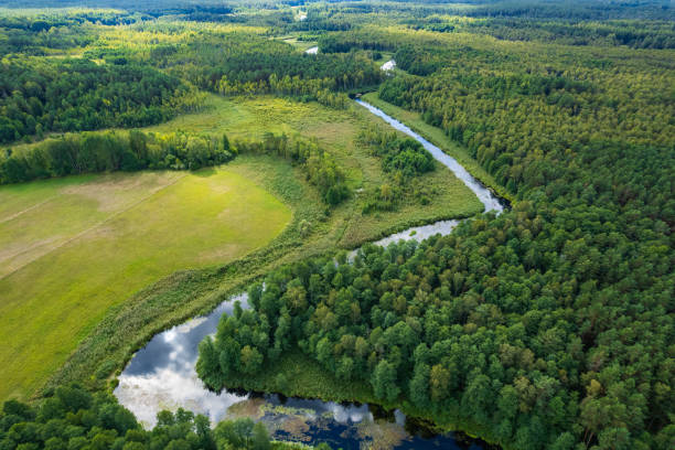 istock beautiful landscape with a small meandering river (aerial view) 2150541774