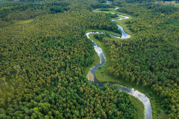 istock beautiful landscape with a small meandering river (aerial view) 2150541799