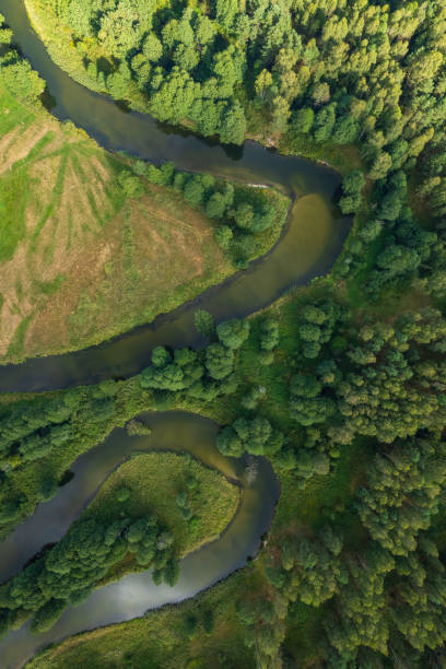 aerial view of the meandering river in a rural landscape