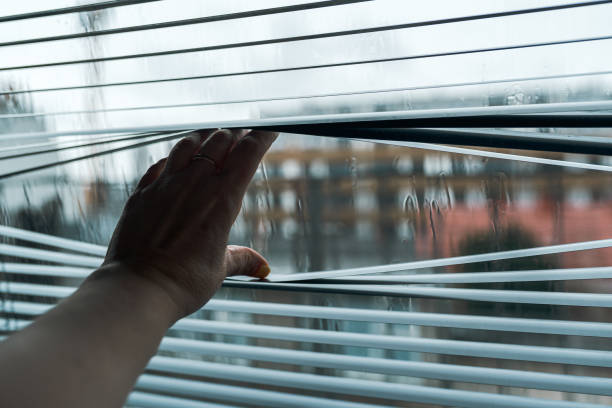 istock Close up hand opens jalousie against through window 2150542209