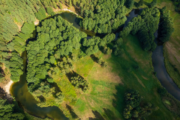 aerial view of the meandering river in a rural landscape