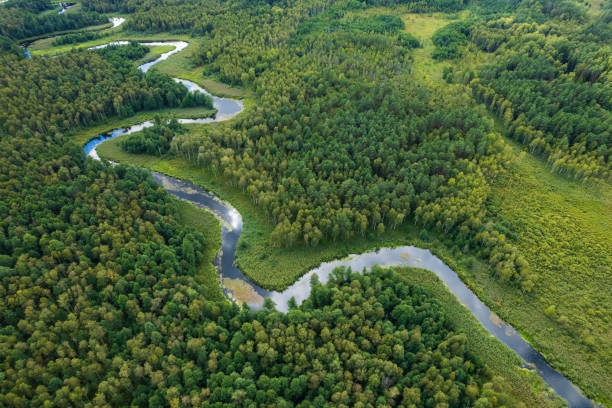 istock beautiful landscape with a small meandering river (aerial view) 2150543280