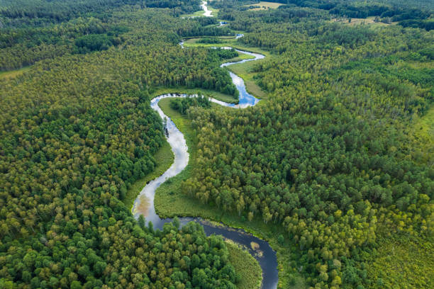 beautiful landscape with a small meandering river (aerial view)
