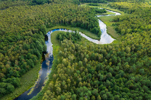 istock beautiful landscape with a small meandering river (aerial view) 2150543307