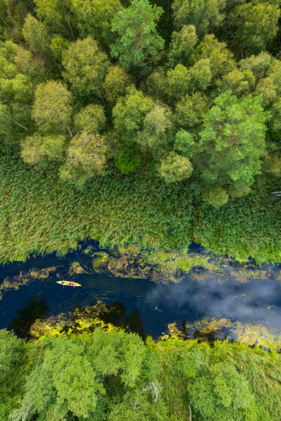 aerial view of the meandering river in a beautiful rural landscape
