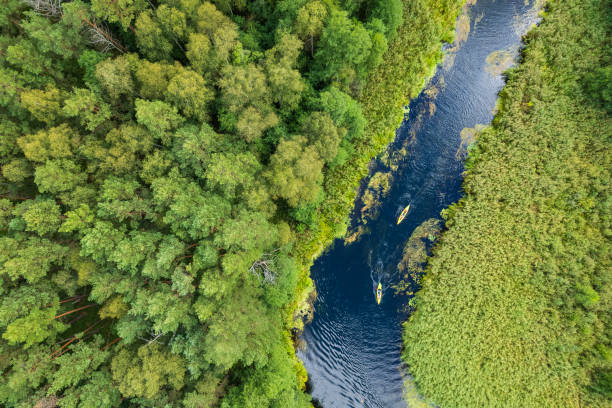 istock tourists kayaking on a small meandering river (aerial view) 2150543573