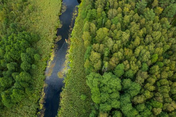 istock tourists kayaking on a small meandering river (aerial view) 2150543886