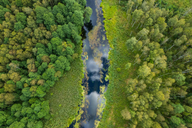 istock tourists kayaking on a small meandering river (aerial view) 2150543998