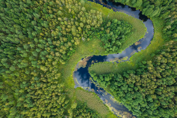istock tourists kayaking on a small meandering river (aerial view) 2150544048