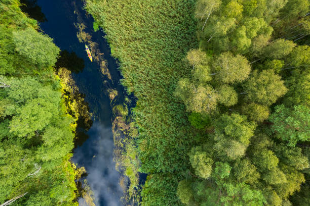 istock tourists kayaking on a small meandering river (aerial view) 2150544061