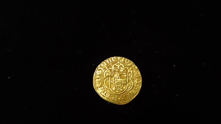 Gold Coin in Black Background 08
