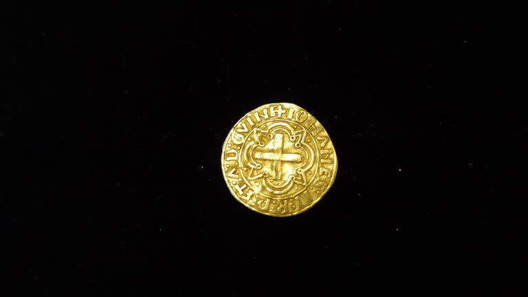 Gold Coin in Black Background 05