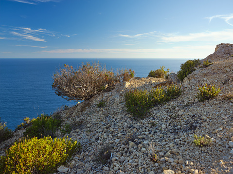 View of a wide variety of Mediterranean-type plants growing on gravel at the top of Cap Llentrisca, an unspoiled rocky cliff located on the southern coast of Ibiza. The warm, oblique light of a Mediterranean summer sunset, picturesque clouds, deep blue waters as far as the eye can see. High level of detail, natural rendition, realistic feel. Developed from RAW