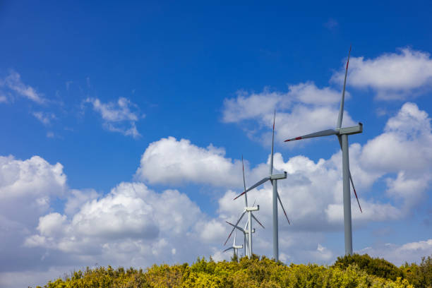 istock Wind power station in a forest landscape 2150546917