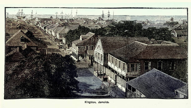 View of Kingston, Jamaica, Victorian, 1880s, 19th Century, Vintage illustration Vintage illustration View of Kingston, Jamaica, Victorian, 1880s, 19th Century kingston harbour stock illustrations