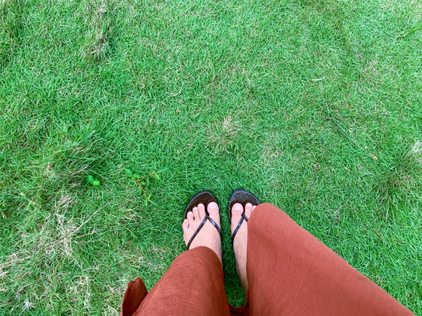 Feet of young thai women in too big sandals