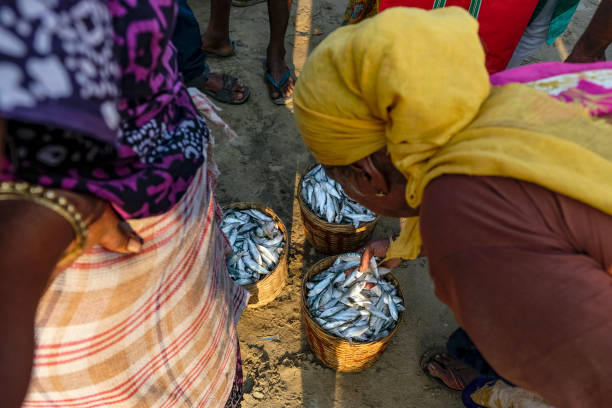 Malvan, India - February 7, 2024: People selling fish at the Malvan fish market in Maharashtra, India.