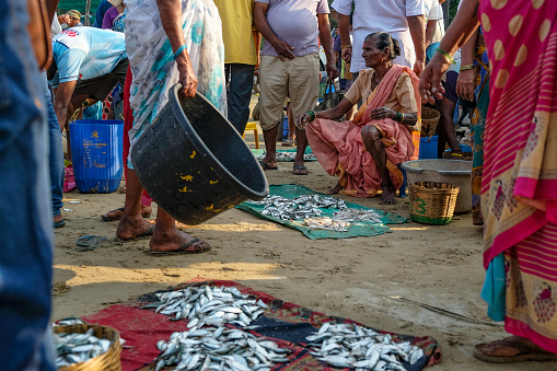 Malvan, India - February 7, 2024: A woman selling fish at the Malvan fish market in Maharashtra, India.