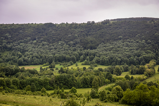 Forested hills under a cloudy sky