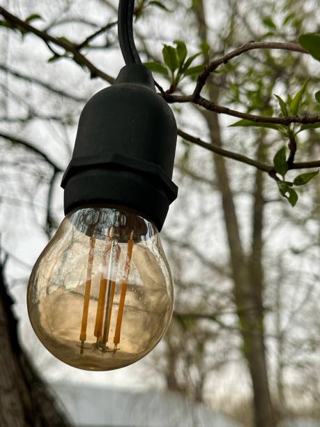 istock a light bulb as a decoration hangs among the trees 2150560030