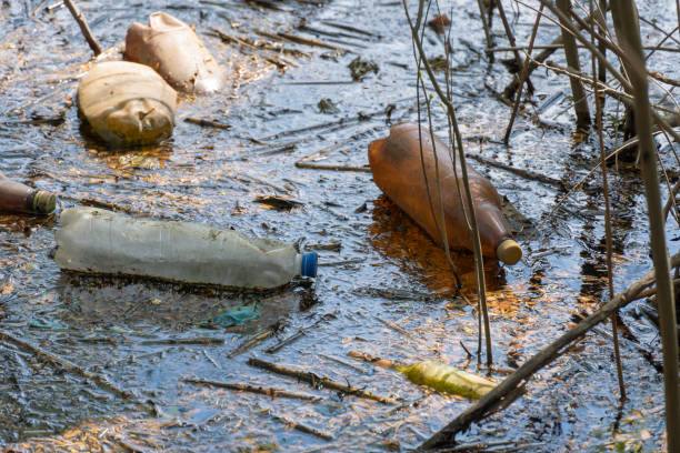 istock Garbage dump in forest scattered in river. Plastic trash in the lake after picnic. 2150560058