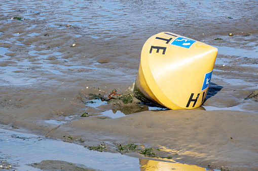Buoy at low tide on a beach