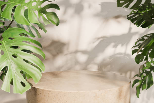 istock marble podium with monstera plant leaves and sun light 3D render product display background 2150561842