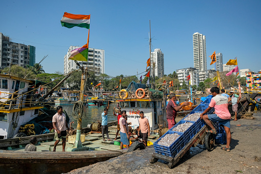 Mumbai, India - March 8, 2024: Fishermen at the Sassoon Dock in the Colaba district of Mumbai, India.
