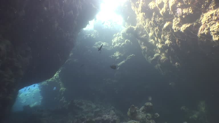 Sunlit underwater caver is fascinating.