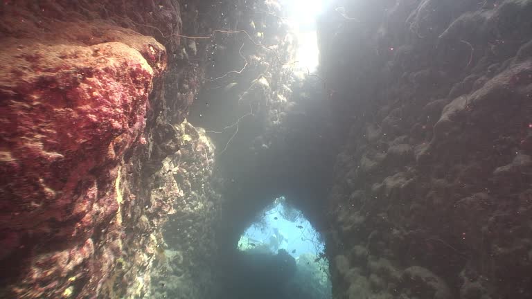 Underwater cave in bright sun is captivating.