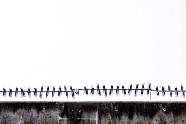 A concrete wall and sharp barbed wire on a perimeter fence