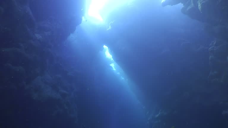 Underwater cave in Red Sea enchants with its hidden wonders.