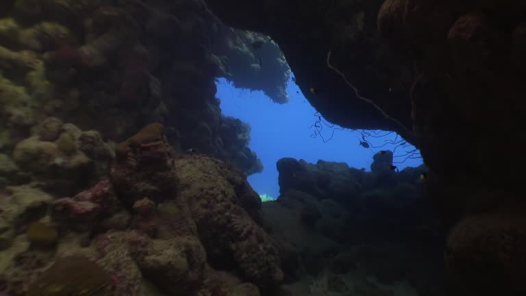 Underwater cave amidst beauty of Red Sea enchants with its mysterious charm.