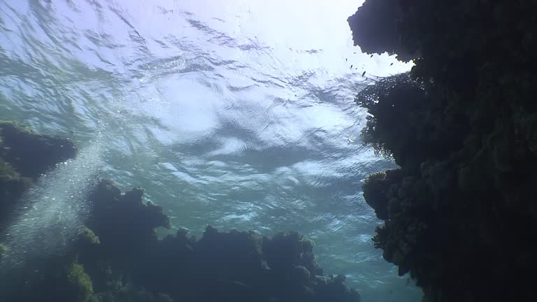 Secrets hidden in underwater caves of wild Red Sea are amazing.