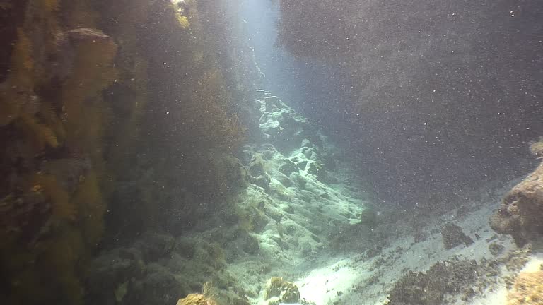In wild expanses of Red Sea, underwater cave beckons with its secrets.