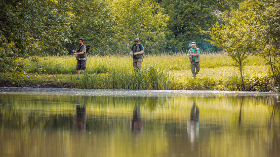 Three sports fishermen standing on the river bank, under a beautiful tree, swinging their fishing rods trying to catch fish on a sunny summer day.