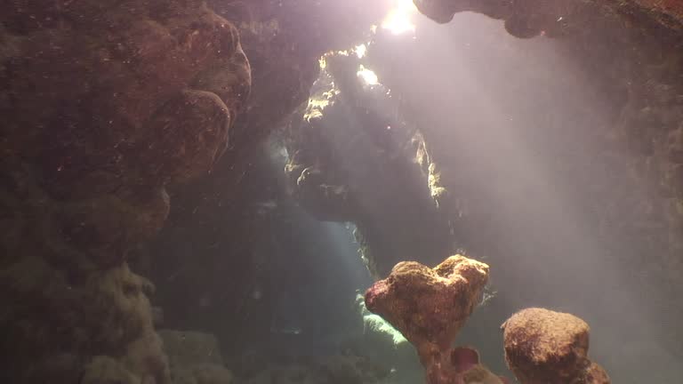 Sunlit underwater cave is alluring.