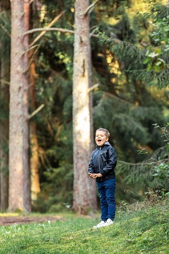 A small lonely boy stands in the forest near the big pine trees and shouts loudly. The child got lost in the forest.