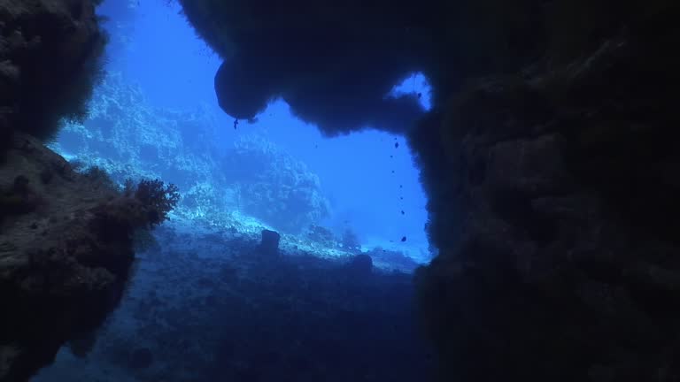 Underwater cave inside coral reef reveals its fascinating secrets of Red Sea.