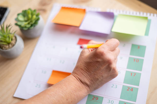 istock Professional Planner Managing Agenda and Appointments. 2150579990