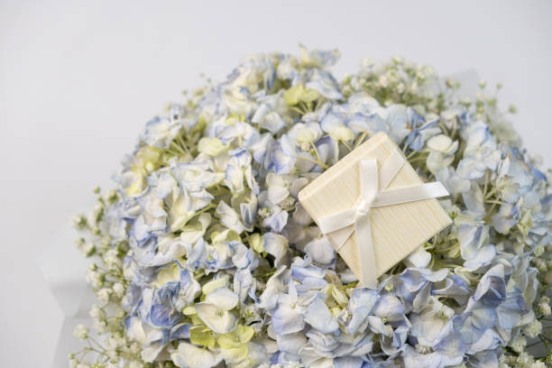 A gift box on a bouquet of hydrangea flowers on a white background.