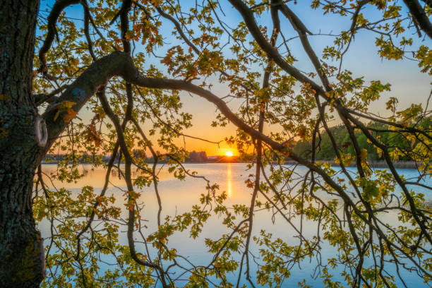 Dam between Bezdrev and Cesnovicky cip pond with spring color sunset evening with green trees