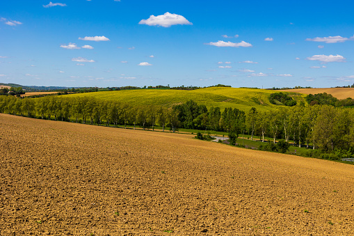 Lauragais hills in spring from Nailloux, covered with wheat and rapeseed fields