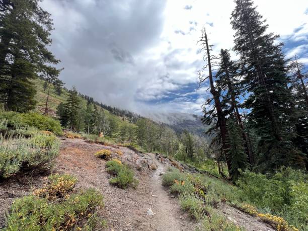 istock John Muir Trail - Devils Postpile to Thousand Island Lake 2150584303
