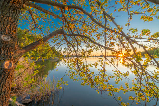 Dam between Bezdrev and Cesnovicky cip pond with spring color sunset evening with green trees